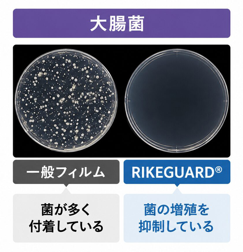 大腸菌
