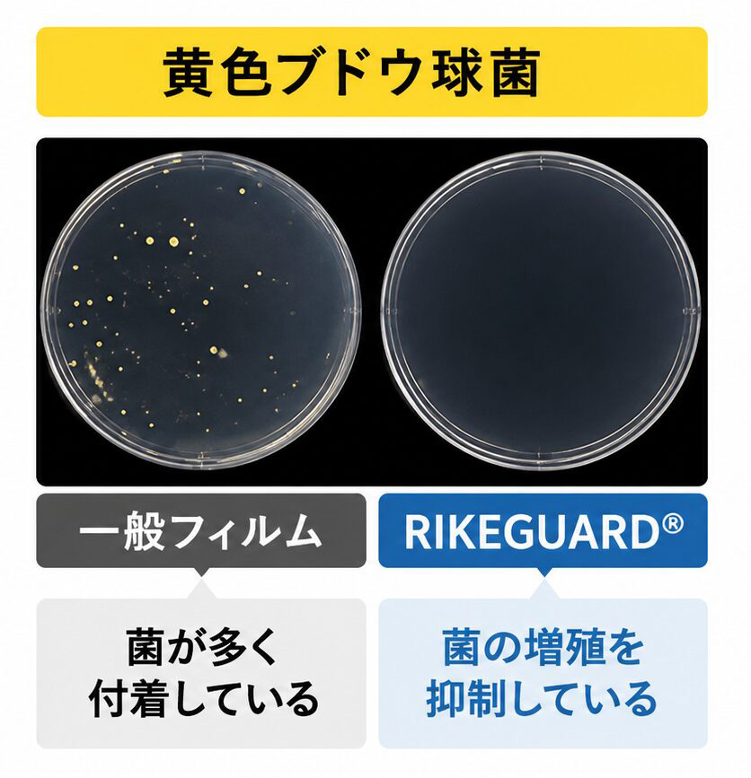 黄色ブドウ球菌