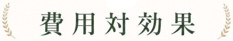 費用対効果